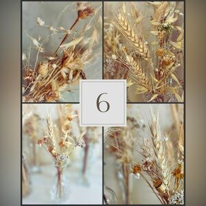 Wild & Rustic Dried Flower Bouquet | Everlasting Home Decor | 6pc | Wedding